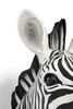 KARE dekoracja ścienna ZEBRA