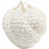 KARE wazon dekoracyjny ANEMONE 26 cm biały