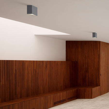 Vibia Structural lampa sufitowa LED 1-punktowa szer. 18 wys. 21 gl. 12 cm szary mat