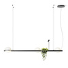 Vibia Palma Lampa Wisząca LED, 4-punktowa, szer. 195, wys. 200 GL 47 cm, Grafitowy Mat Opal Mat