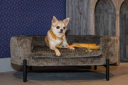 RICHMOND legowisko dla psa DOLLY          ciemnobeżowe