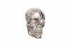 INVICTA dekoracja ścienna SKULL srebrna
