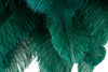 Lampa podłogowa TIFFANY 175 zielona  mosiądz / naturalne pióra