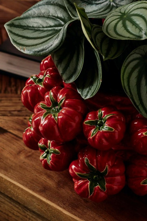 BIZZOTTO wazon GAZPACHO 26 czerwony