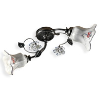 Lampa Sufitowa Plafon  PISA Ferroluce C1204-2