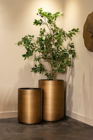 RICHMOND donica DIRA 45 szczotkowane      złoto